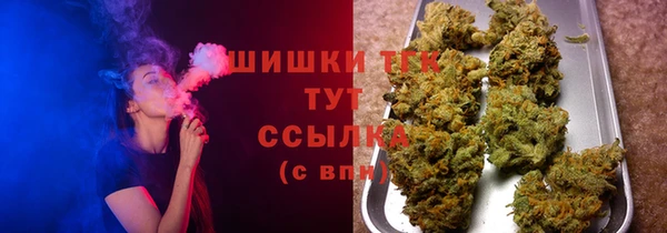 хмурый Пестово