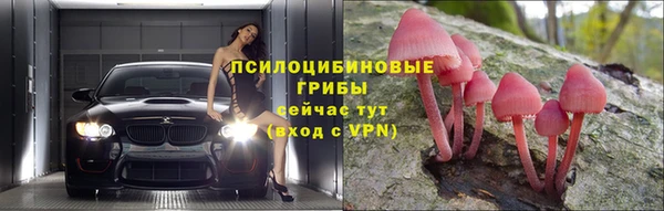 таблы Пересвет