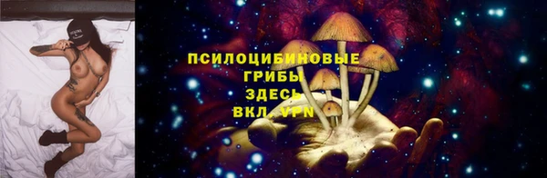 трава Осташков