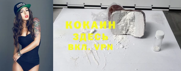 хмурый Пестово