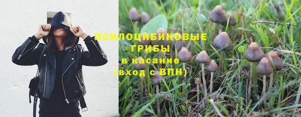 хмурый Пестово