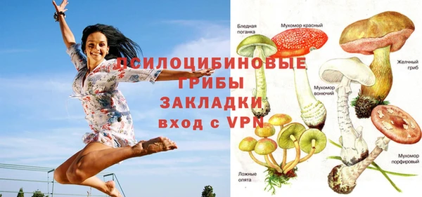 хмурый Пестово