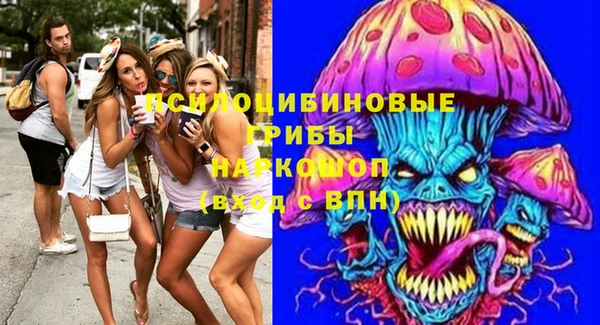 хмурый Пестово