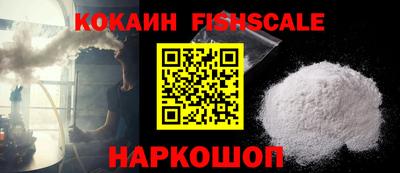 индика Камышлов