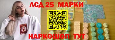 индика Камышлов