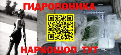 2c-b Кингисепп