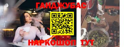 индика Камышлов