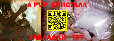 2c-b Кингисепп