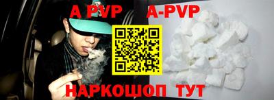 индика Камышлов