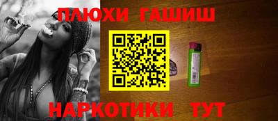 индика Камышлов