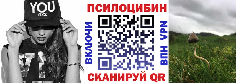 Галлюциногенные грибы прущие грибы  Корсаков 