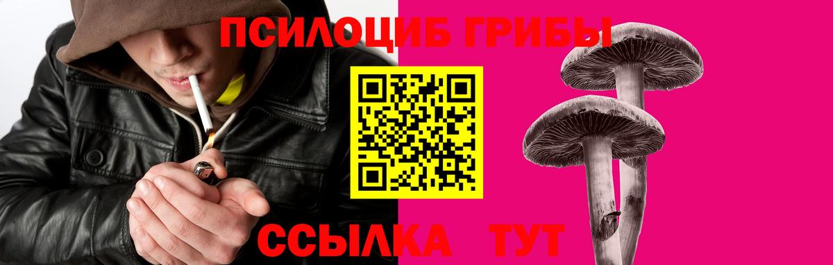 Галлюциногенные грибы Magic Shrooms  Корсаков  Псилоцибиновые грибы мухоморы 